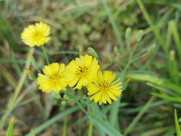 試驗(yàn)臺(tái)的種類有哪些？